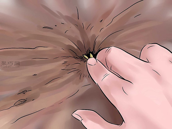 种黄瓜图片教程 怎么样种黄瓜(图10)