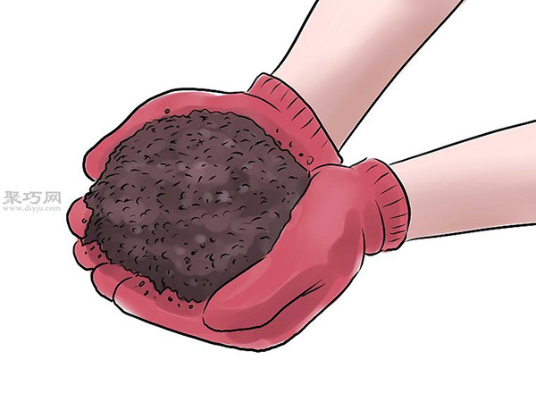 种黄瓜图片教程 怎么样种黄瓜(图14)