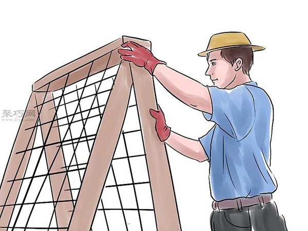 种黄瓜图片教程 怎么样种黄瓜(图11)