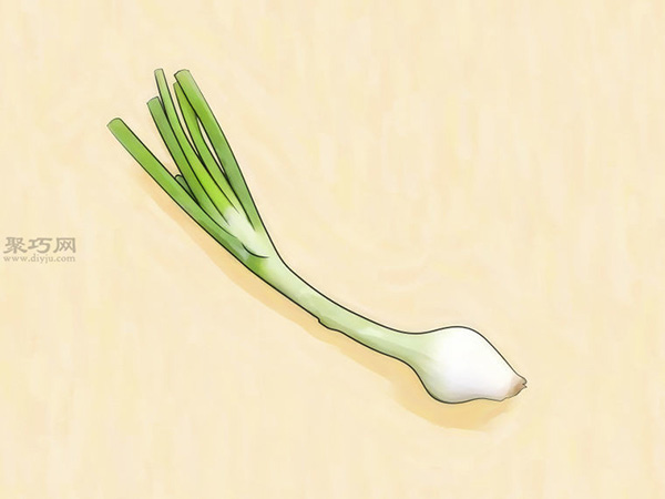 怎么在玻璃罐里种植葱 来看种植大葱教程 - 功圣花卉