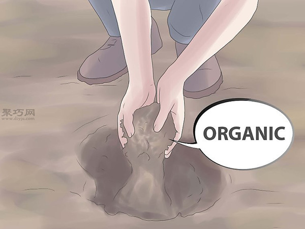 栽种栀子花图解教程 怎么栽种栀子花(图5)