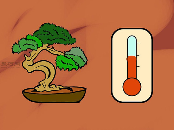 种植盆栽图片教程 怎样种植盆栽(图7)