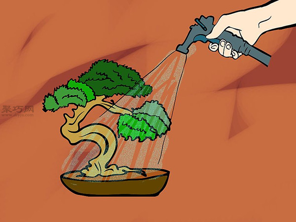 种植盆栽图片教程 怎样种植盆栽(图8)