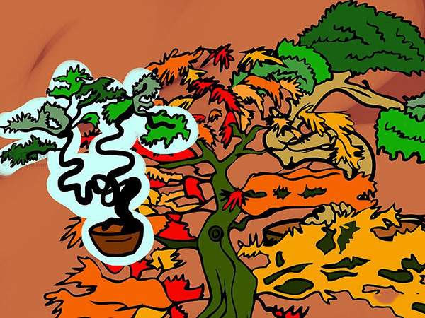 种植盆栽图片教程 怎样种植盆栽(图9)