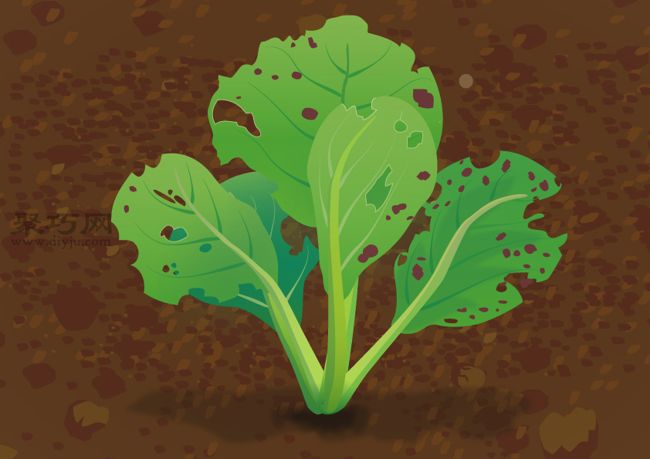 栽培油菜必备 如何提高油菜的病虫害防治(图3) 栽培油菜必备 如何提高油菜的病虫害防治(图3)