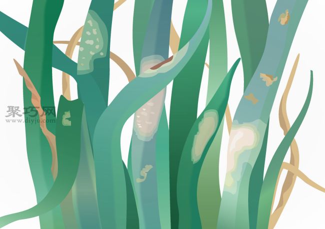 如何预防洋葱生病 种植洋葱病虫害类型及防治措施 - 功圣花卉