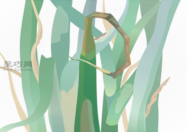 如何预防洋葱生病 种植洋葱病虫害类型及防治措施(图2)