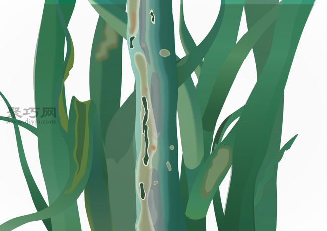 如何预防洋葱生病 种植洋葱病虫害类型及防治措施(图3)