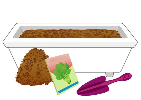 阳台种植小油菜技巧 轻松种植油菜方法 - 功圣花卉