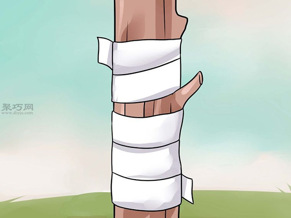 如何用芽接法嫁接树 来看嫁接树的方法(图5)