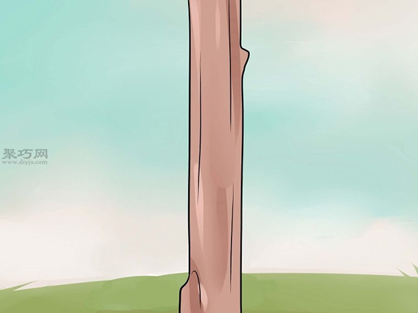 如何用芽接法嫁接树 来看嫁接树的方法 - 功圣花卉