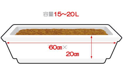 毛豆种植新手必备 大豆种子和豆苗的选择技巧(图2)