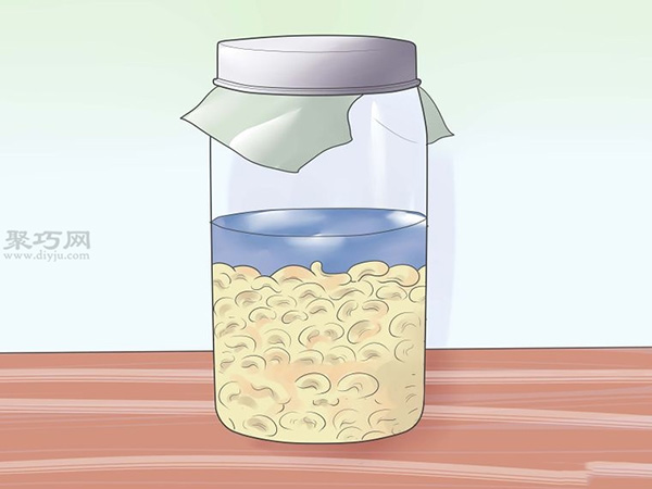 怎么让蔬菜或豆类发芽 种植幼芽图解教程(图2)