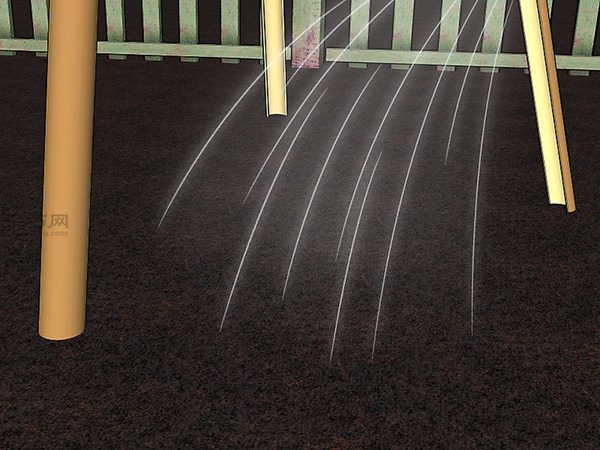 怎样种植豆类和豌豆 种植豆类和豌豆图片教程(图7)