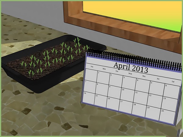 如何准备播种 一起学播种教程(图2)