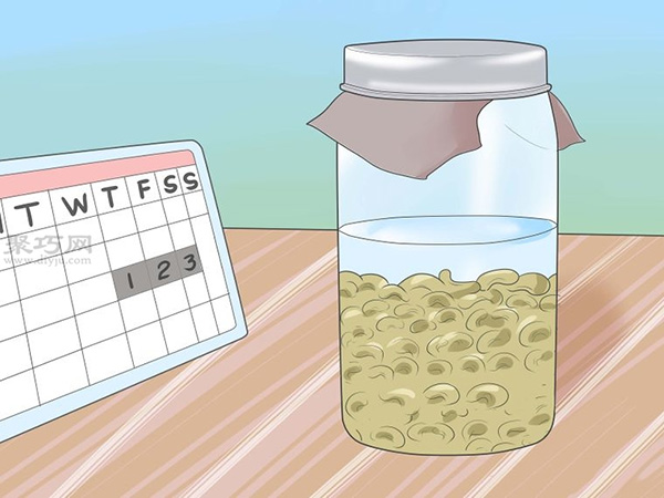 怎么让蔬菜或豆类发芽 种植幼芽图解教程(图3)