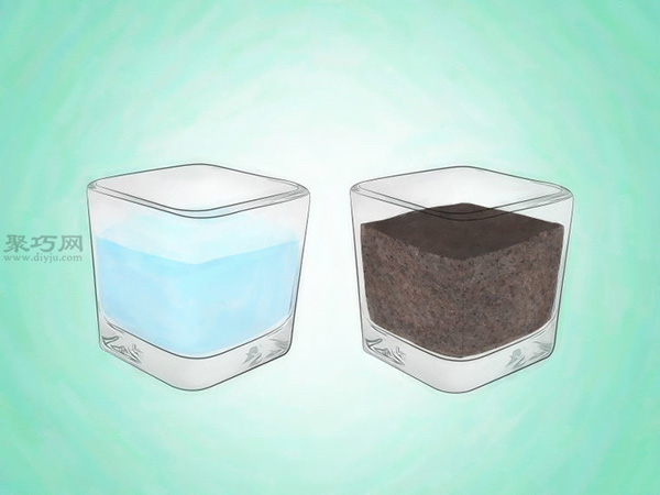 怎样挑选富贵竹 来看栽种富贵竹步骤(图2)