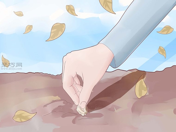 怎么样种植大蒜 种植大蒜教程图解(图2)