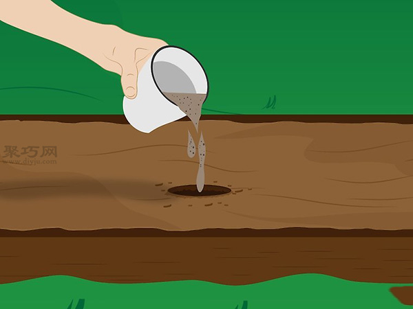 怎样种植薰衣草 一起学种植薰衣草步骤(图1)