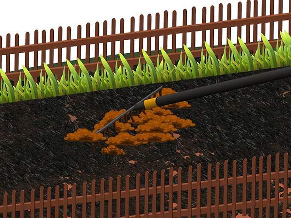 用草籽种草教程 如何用草籽种草(图5)