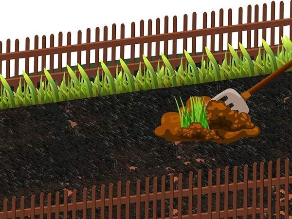 用草籽种草教程 如何用草籽种草(图2)