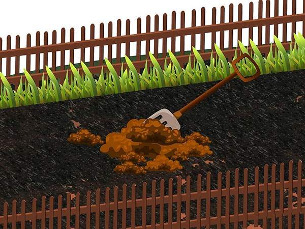 用草籽种草教程 如何用草籽种草(图4)