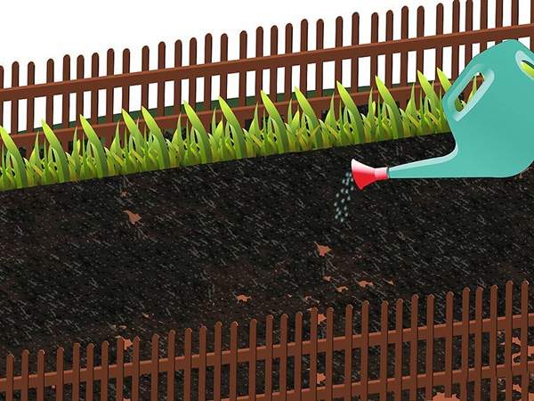 用草籽种草教程 如何用草籽种草(图9)