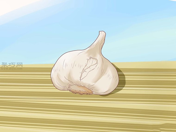 怎样收成与风干大蒜 种植大蒜图片教程(图4)