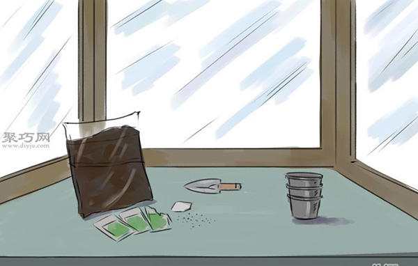 怎样播种罗勒 种植罗勒教程图解(图2)