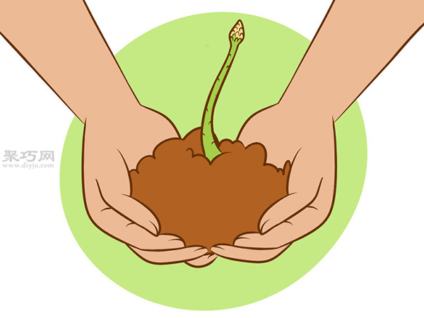 怎么种芦笋 用种子种植芦笋教程(图2)