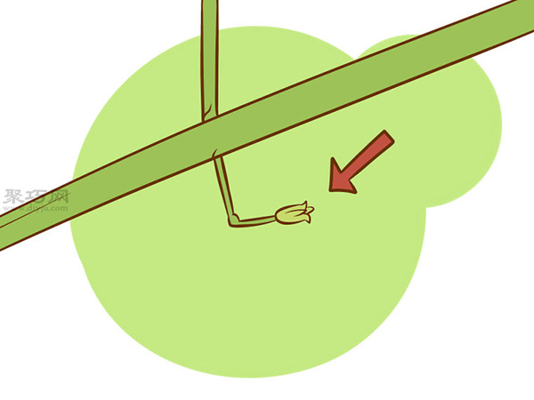 怎么种芦笋 用种子种植芦笋教程(图3)