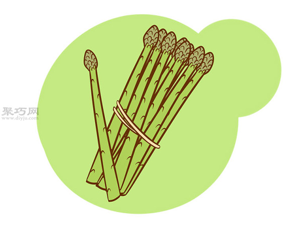 怎样收获芦笋 种芦笋图片教程(图1)