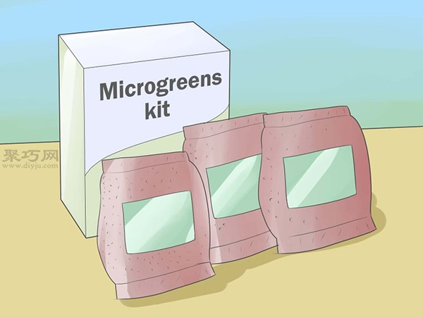 如何种植豌豆苗和沙拉植物 教你种植幼芽的方法(图1)