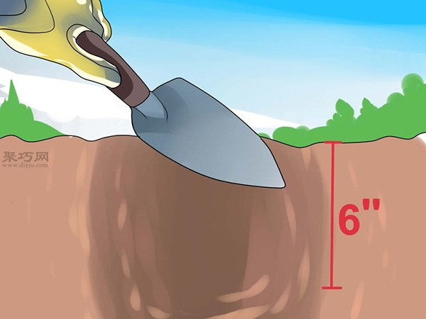 怎么样把倒挂金钟移植到花园里 一起学种植倒挂金钟步骤(图3)