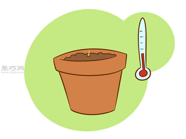 怎么种芦笋 用种子种植芦笋教程(图1)