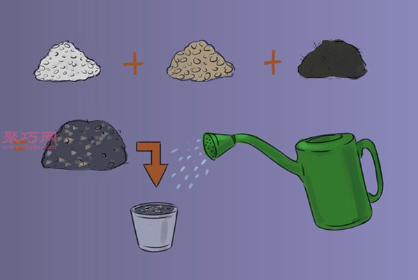 怎样播种罗勒 种植罗勒教程图解(图3)