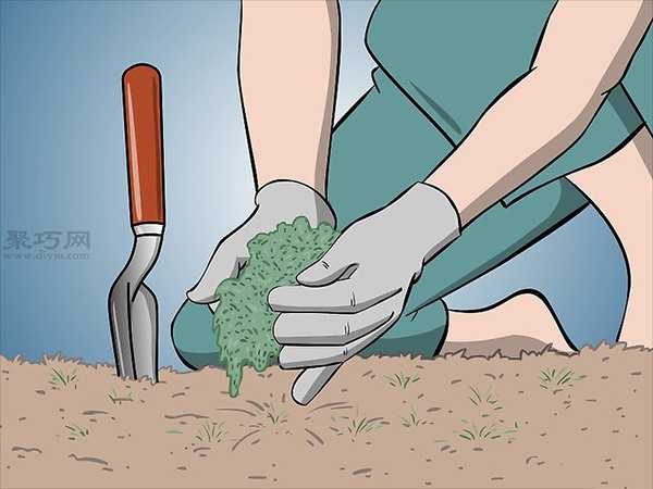 怎么样在花园/草坪上种植苔藓 来看种植苔藓步骤(图2)