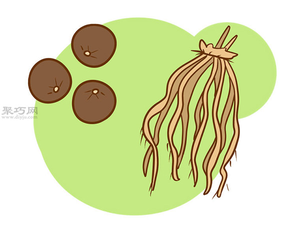 怎样种芦笋 一起学种芦笋步骤(图2)