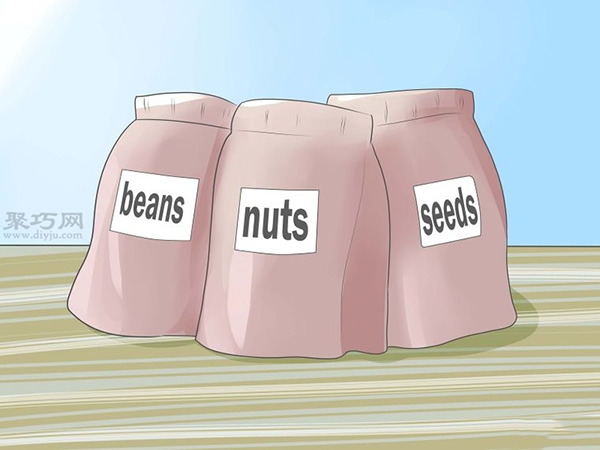 如何种植幼芽 教你种植幼芽教程 - 功圣花卉