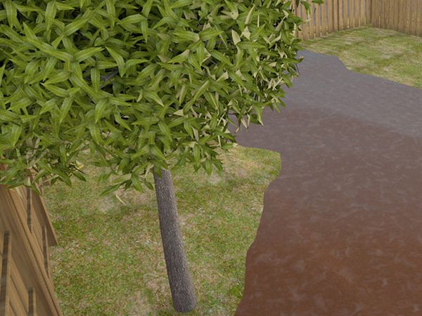 种植巨型南瓜方法 如何种植巨型南瓜 - 功圣花卉