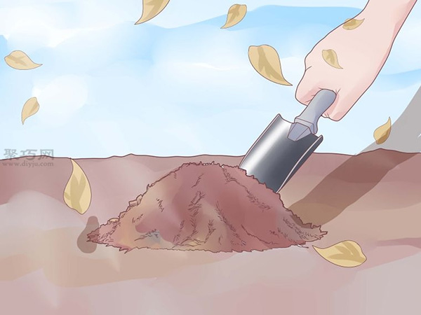 如何打理蒜苗 种植大蒜图解教程 - 功圣花卉