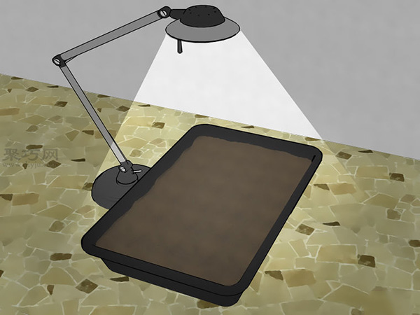 怎么样播种种植辣椒 教你种植辣椒步骤(图4)