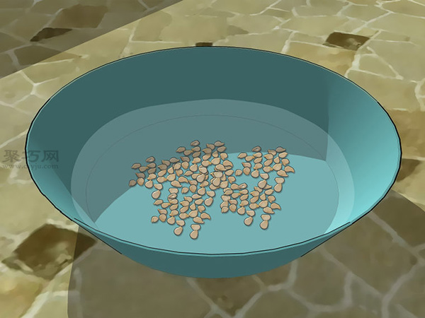 怎么样播种种植辣椒 教你种植辣椒步骤(图2)