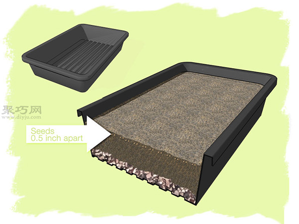 怎么样播种种植辣椒 教你种植辣椒步骤(图3)