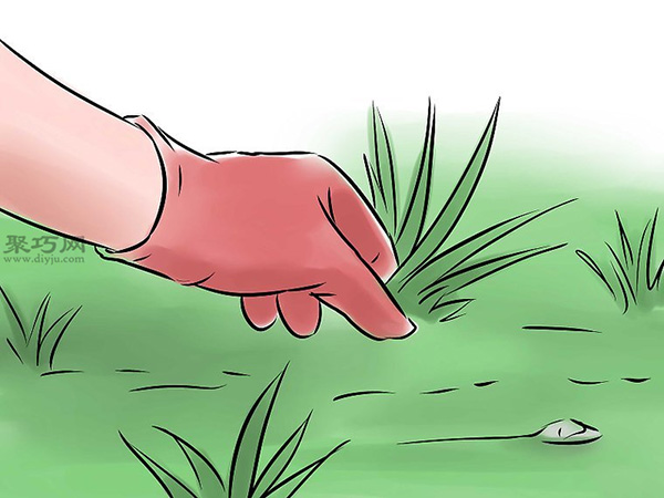 怎么样照料花园 种出一个花园教程图解 - 功圣花卉