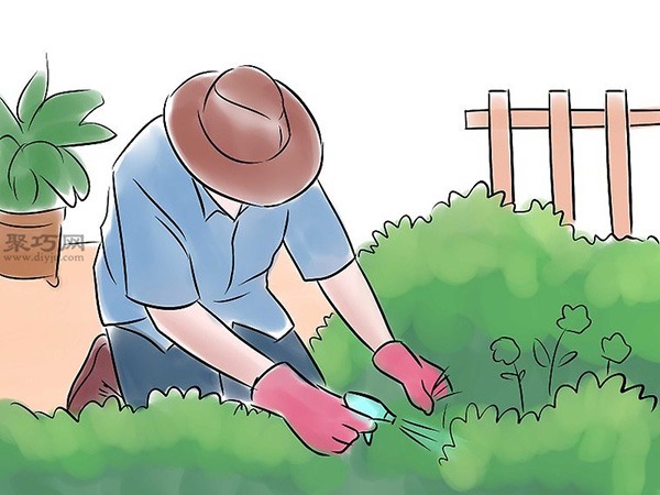 怎么样照料花园 种出一个花园教程图解(图2)