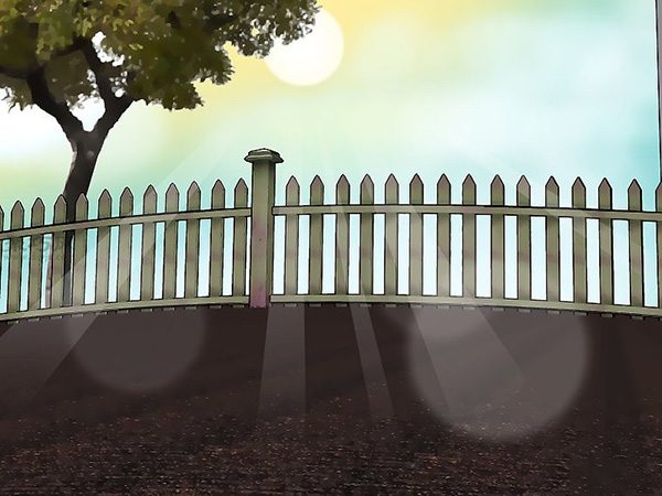 如何种植豌豆 种植豆类和豌豆图解教程 - 功圣花卉