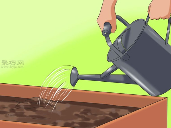 怎么选种植向日葵的种子 种植向日葵图解教程(图5)