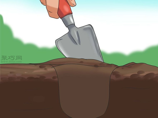 怎么选种植向日葵的种子 种植向日葵图解教程(图2)