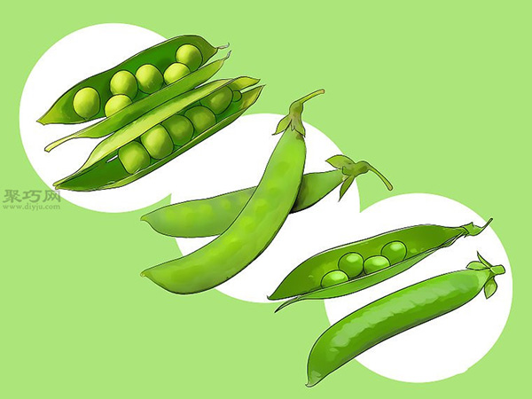 如何种植豌豆 种植豆类和豌豆图解教程(图2)